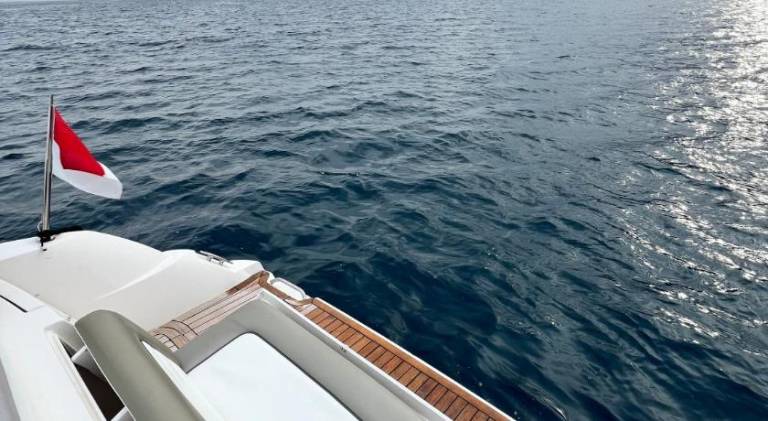 Boat | Pets allowed — photo 5