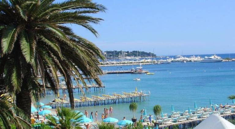 Appartement moderne a Antibes avec jardin et terrasse — photo 3