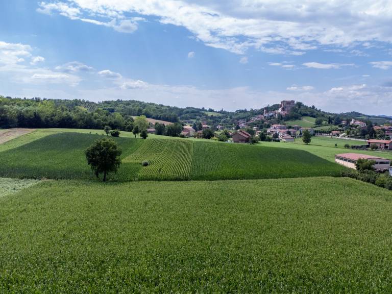 foto48