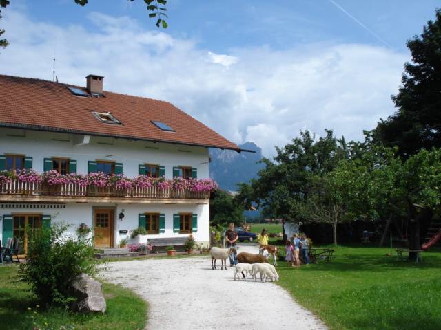 foto10