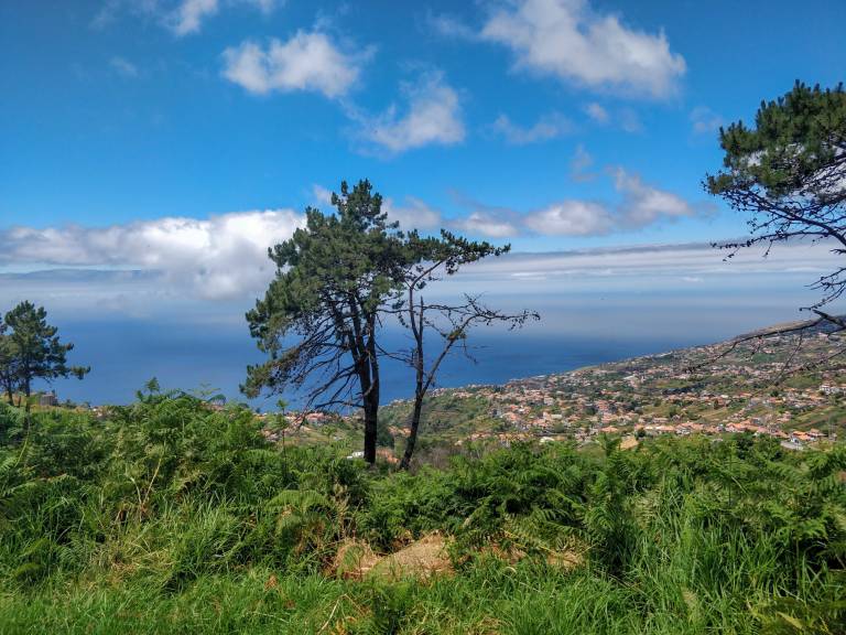 foto29