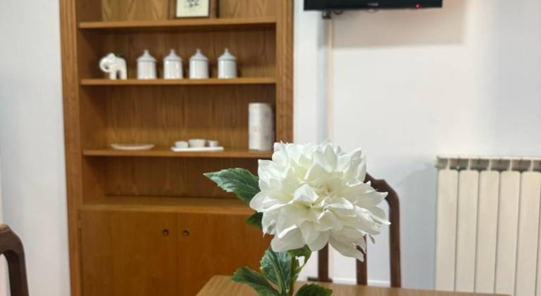 Pleasant apartment | Pets are welcome — photo 4