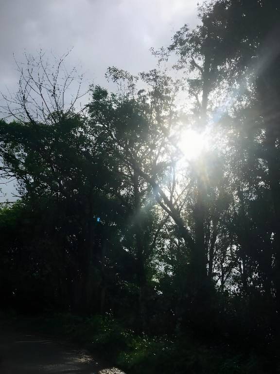 foto14