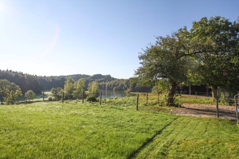 Ferienwohnung Waldblick
