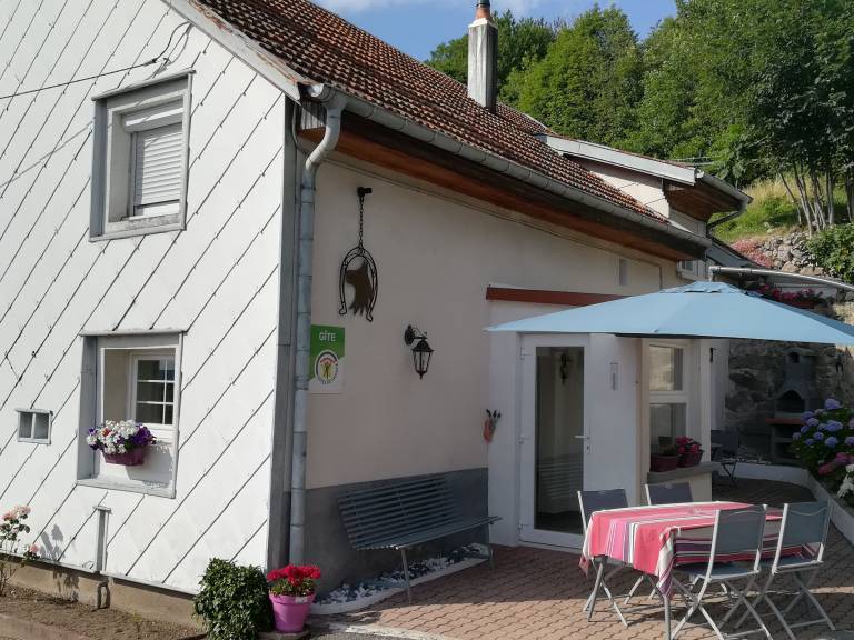 foto19