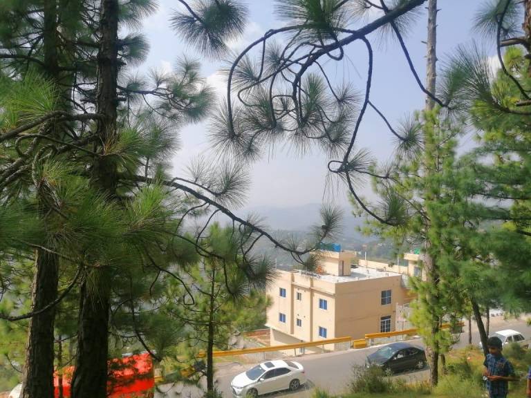 foto14