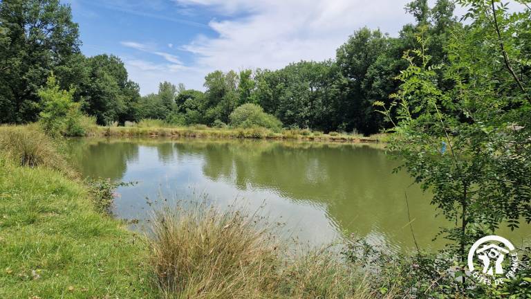Fully equipped gite with BBQ, garden & patio | Dogs allowed — photo 2