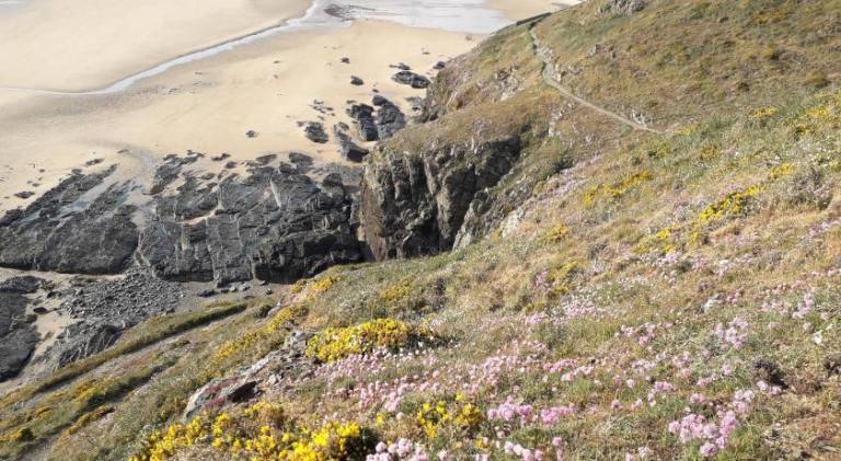 Vacation home | Dogs allowed in Barneville-Carteret