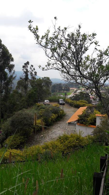 Hostal Finca Cardonales — photo 5