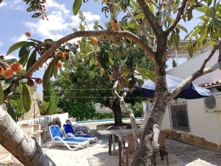 House with pool — photo 3