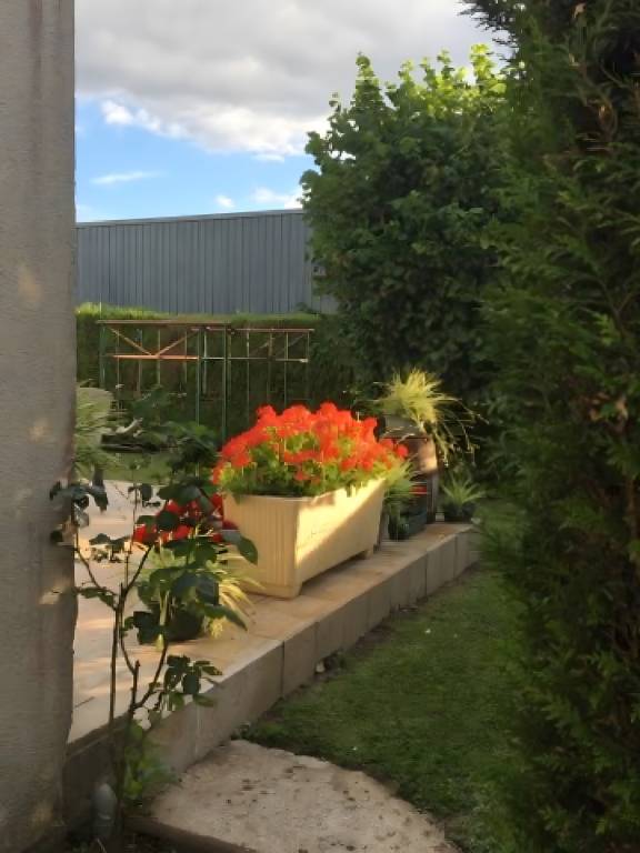 foto18