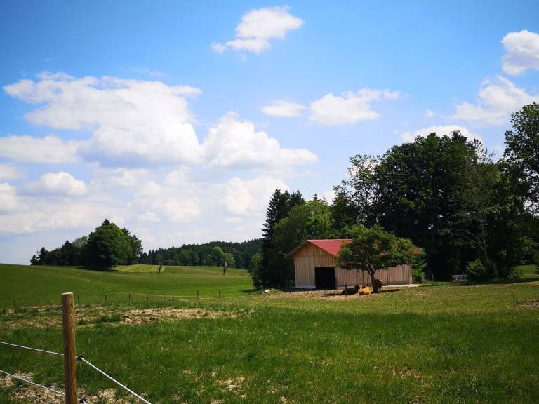 foto17