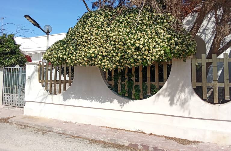 Villa Torre Lapillo