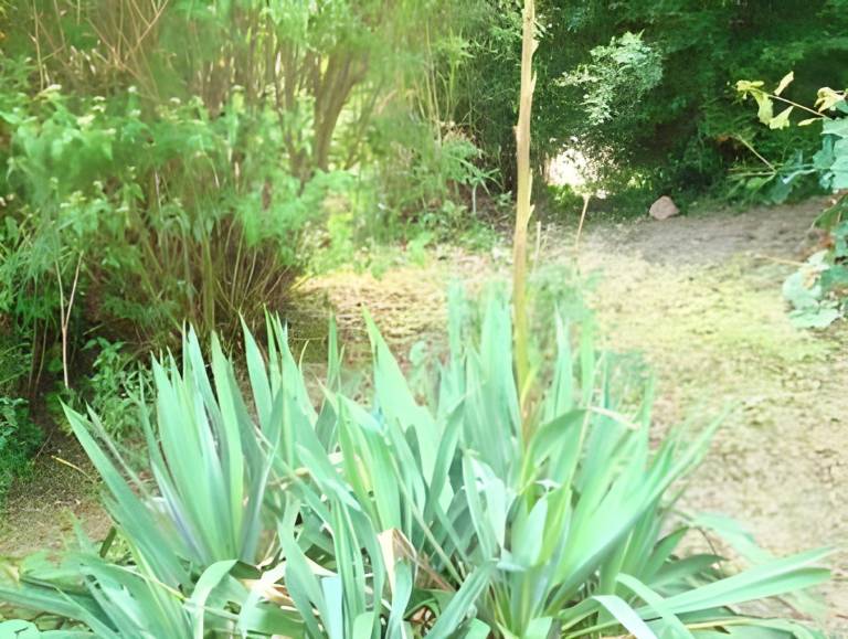 foto43