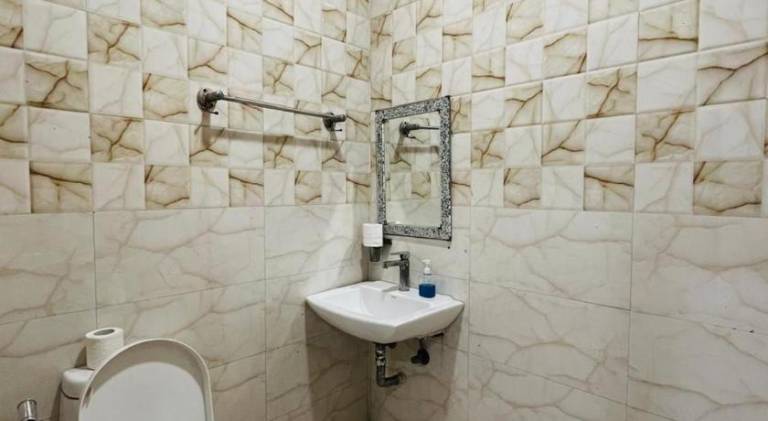 Hotel Moon Chanakyapuri Satya Niketan Couple Friendly
