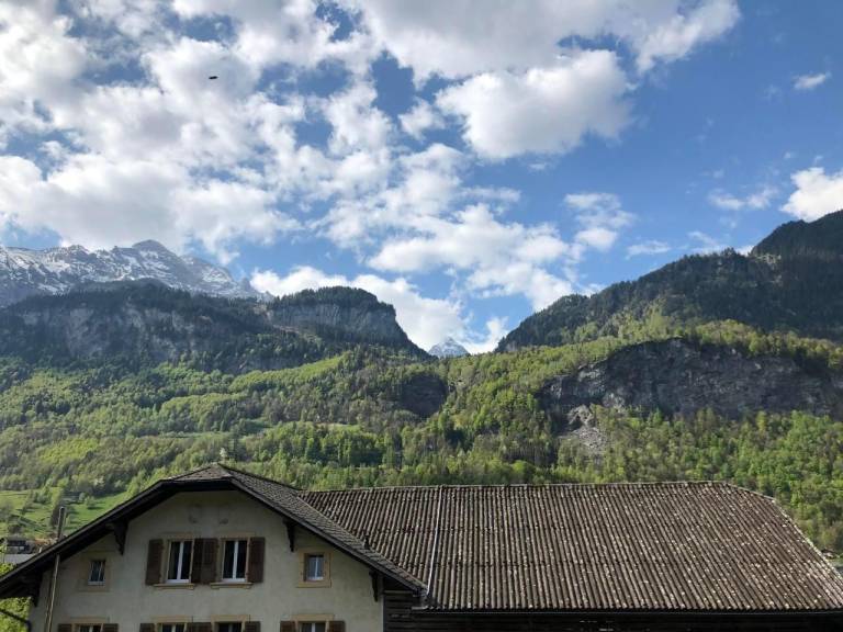 Ferienwohnung Meiringen
