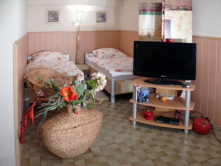 Apartment with garden — photo 5