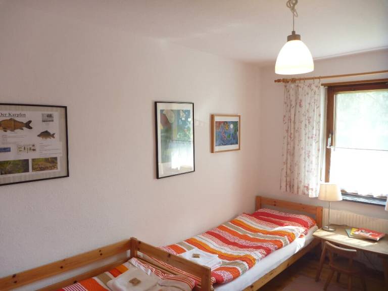 foto7