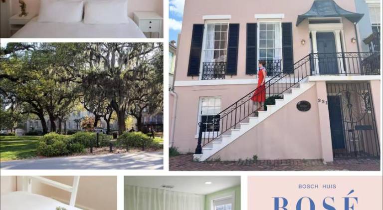 Pleasant apartment with pool | Dogs allowed in Savannah, GA
