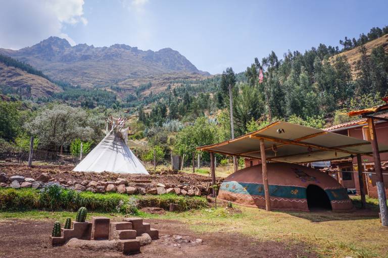 Michi Hampi