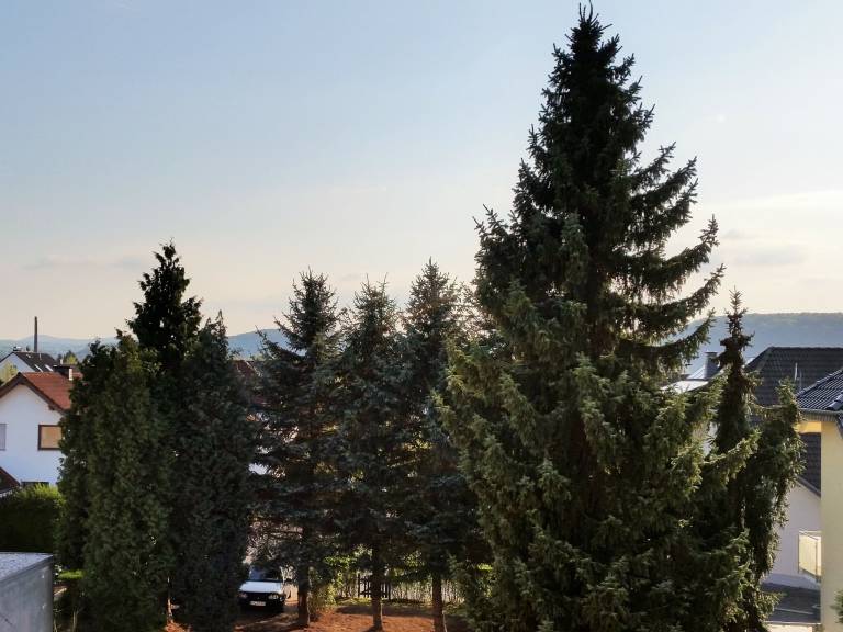 foto1