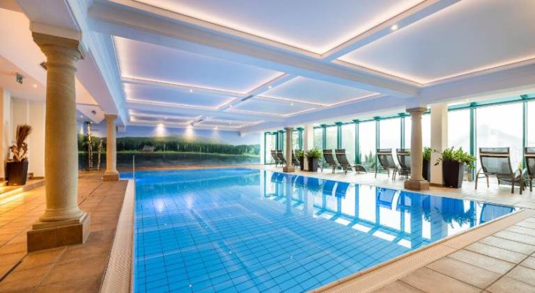 Chalet with pool | Pets are welcome — photo 3