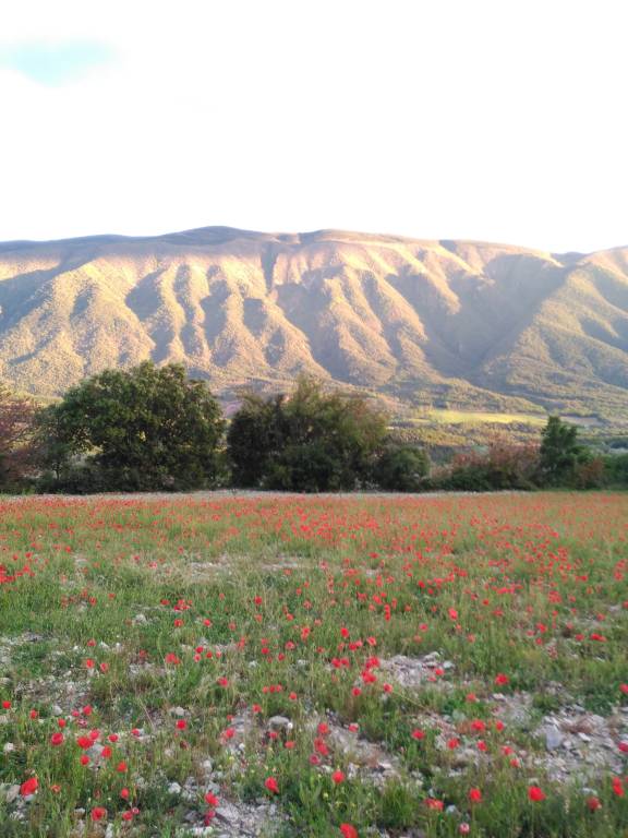 foto6