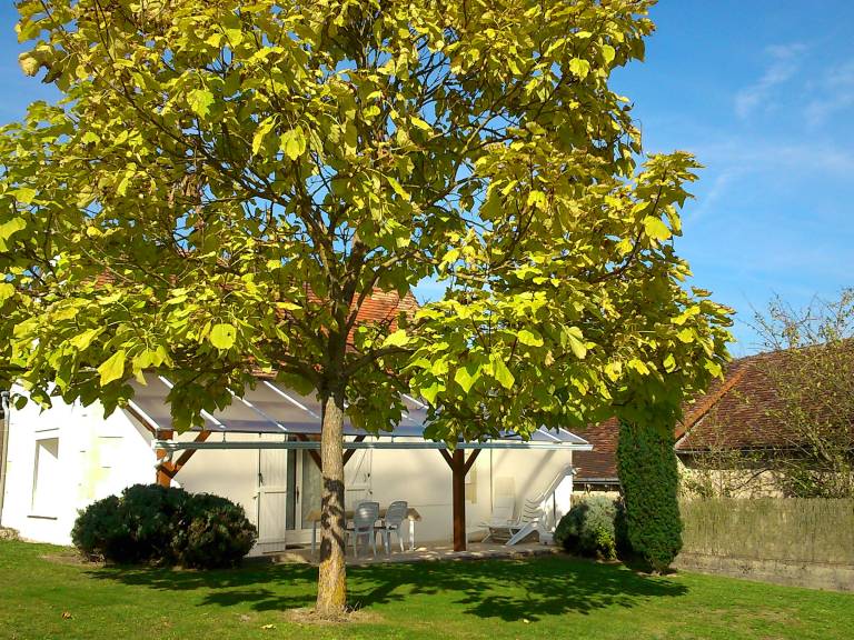 Charming Cottage 6km from La Roche-Posay - Terrace, Garden, Baby Equipment, Pet Friendly, Wifi — photo 2