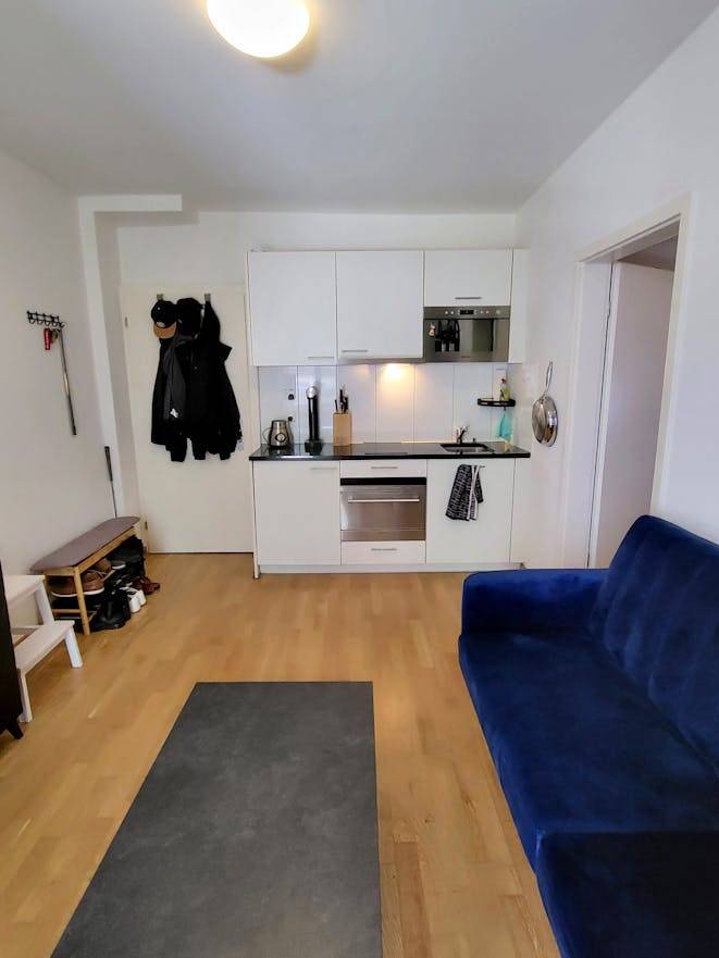 35 M² Apartment ∙ 1 Bedroom ∙ 2 Guests - Zurich, Switzerland