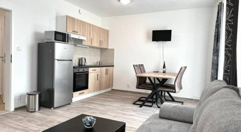 Holiday apartment with 1 room for 4 persons in Plzen