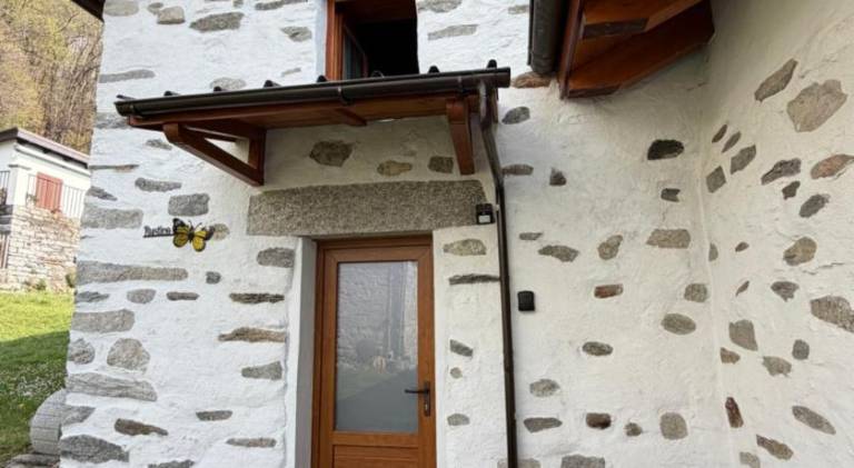 Apartment with yard in Ascona