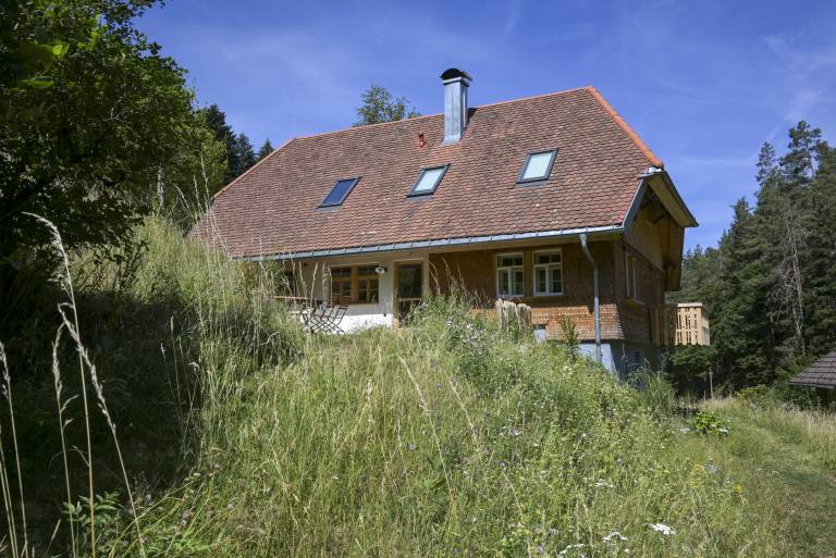 Ferienhaus Hornberg