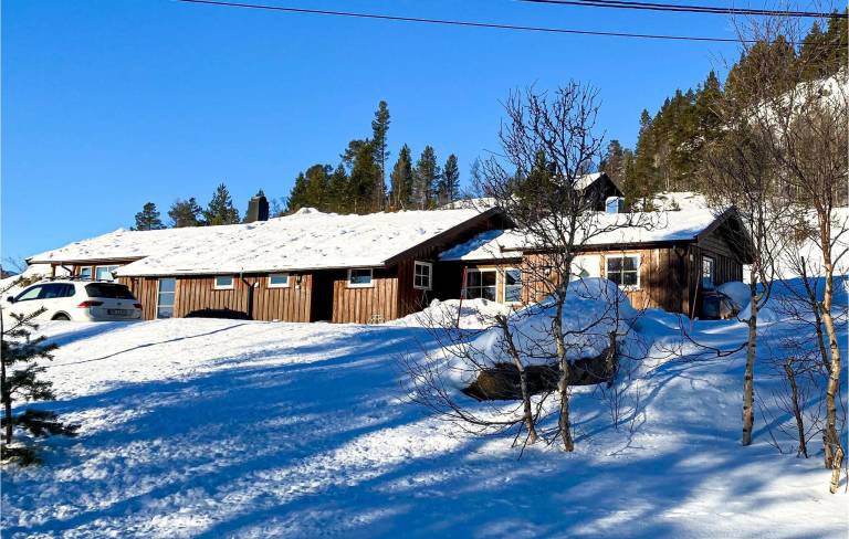Feriehus  Hovden i Setesdal