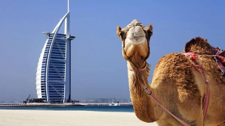 Appartement Dubaï Marina