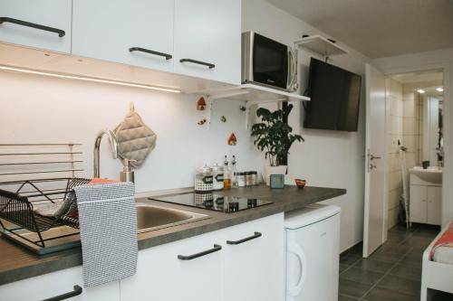 Apartma Drežnica