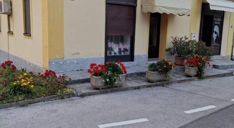 Prenočišče z zajtrkom Dolenjske Toplice