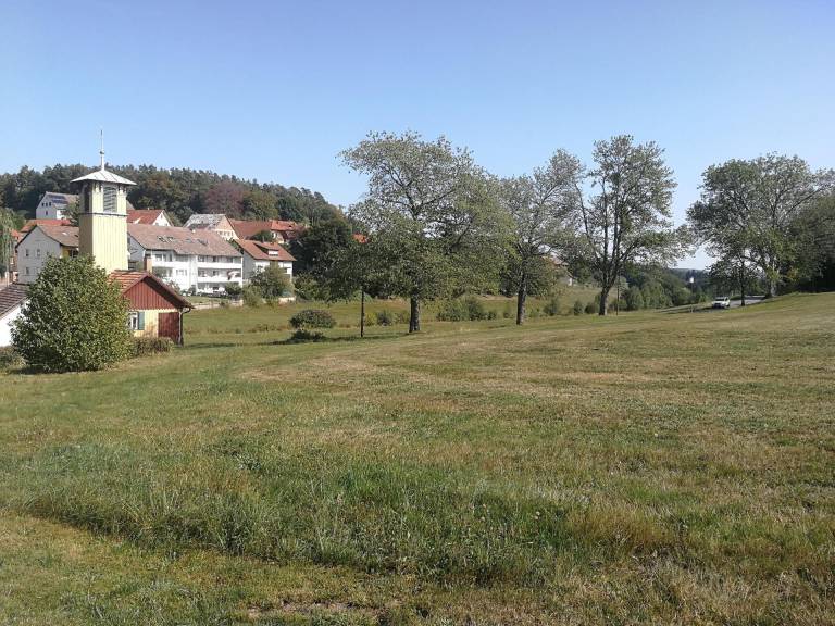 foto11