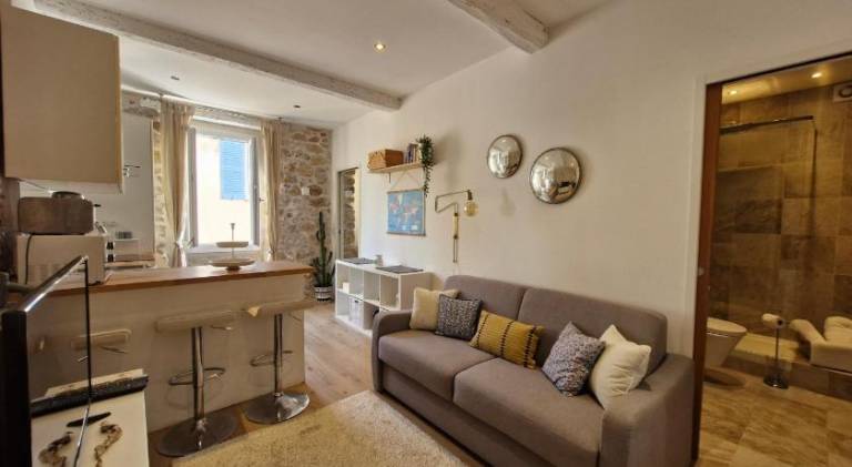 Fully equipped apartment | Dogs allowed in Antibes