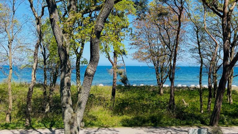 Ferienwohnung Timmendorfer Strand