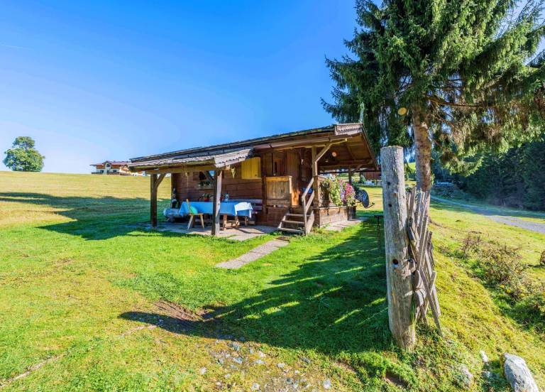  mit Hund in Hollersbach im Pinzgau f&uuml;r max. 6 Personen