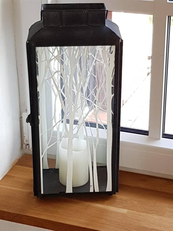 foto7