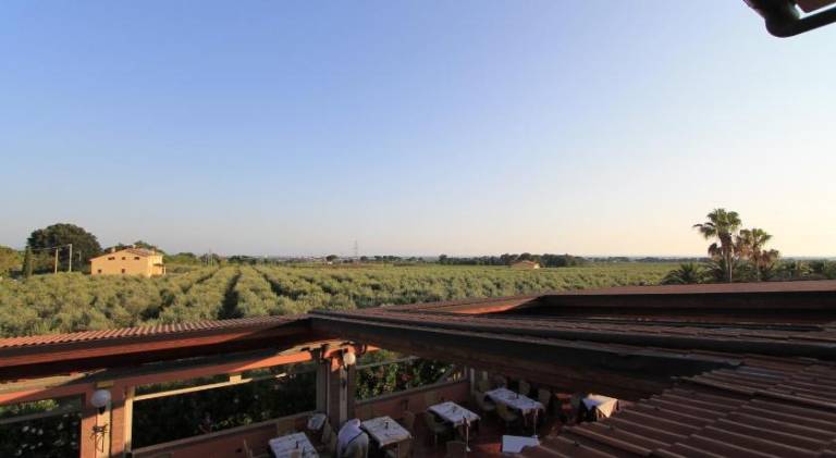 Tenuta Elisabetta — photo 5