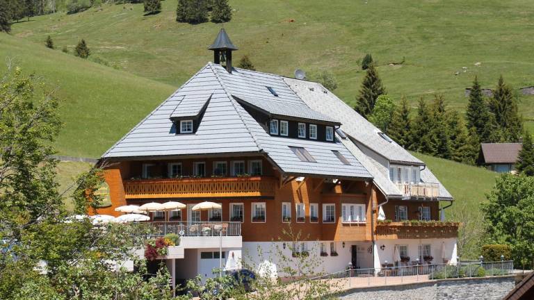 Ferienwohnung Todtnauberg