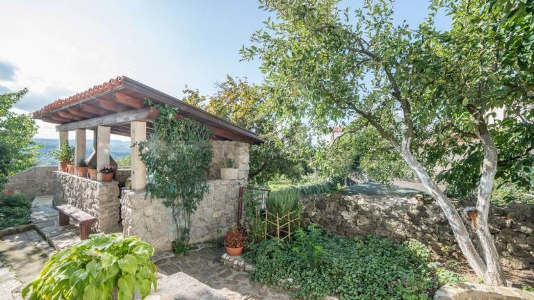 Apartma Kotli