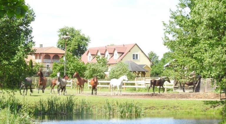 Agroturystyka Wyszel