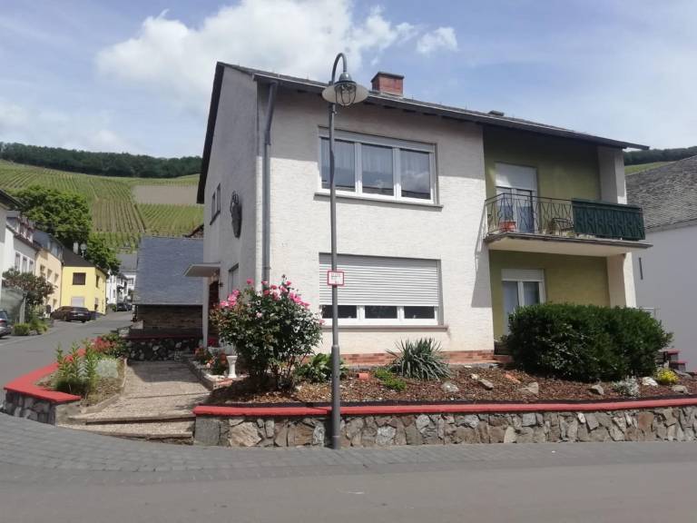 foto1
