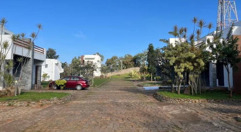 foto42