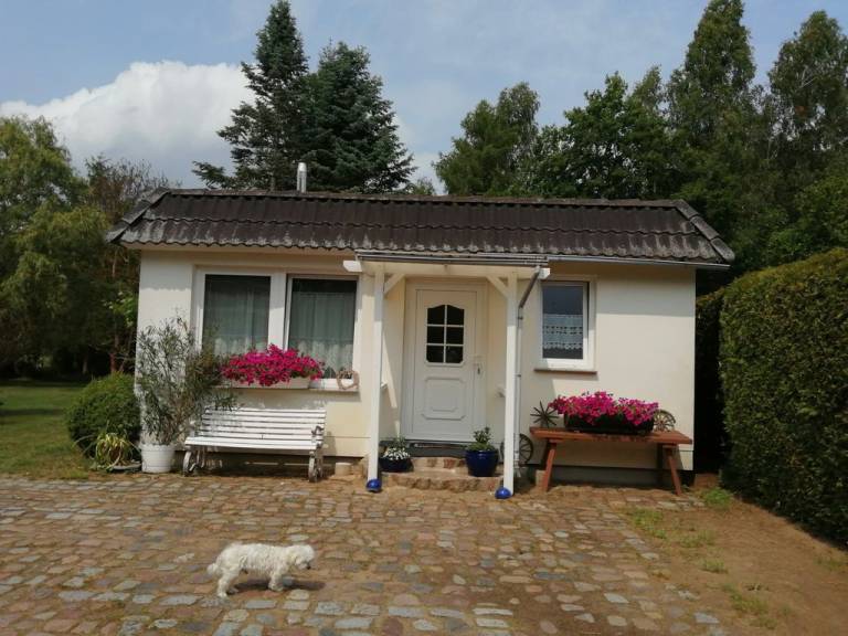 foto9