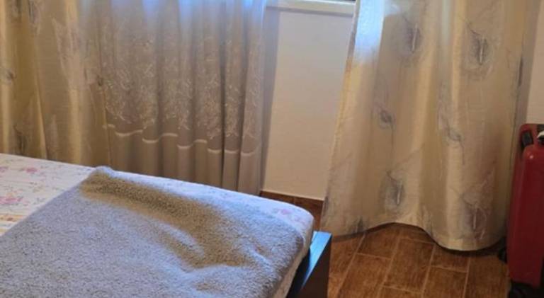 Holiday apartment | Pets are welcome — photo 2