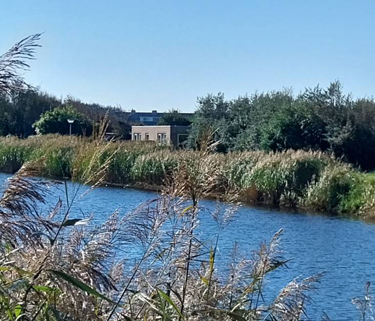 Ferienwohnung Petten